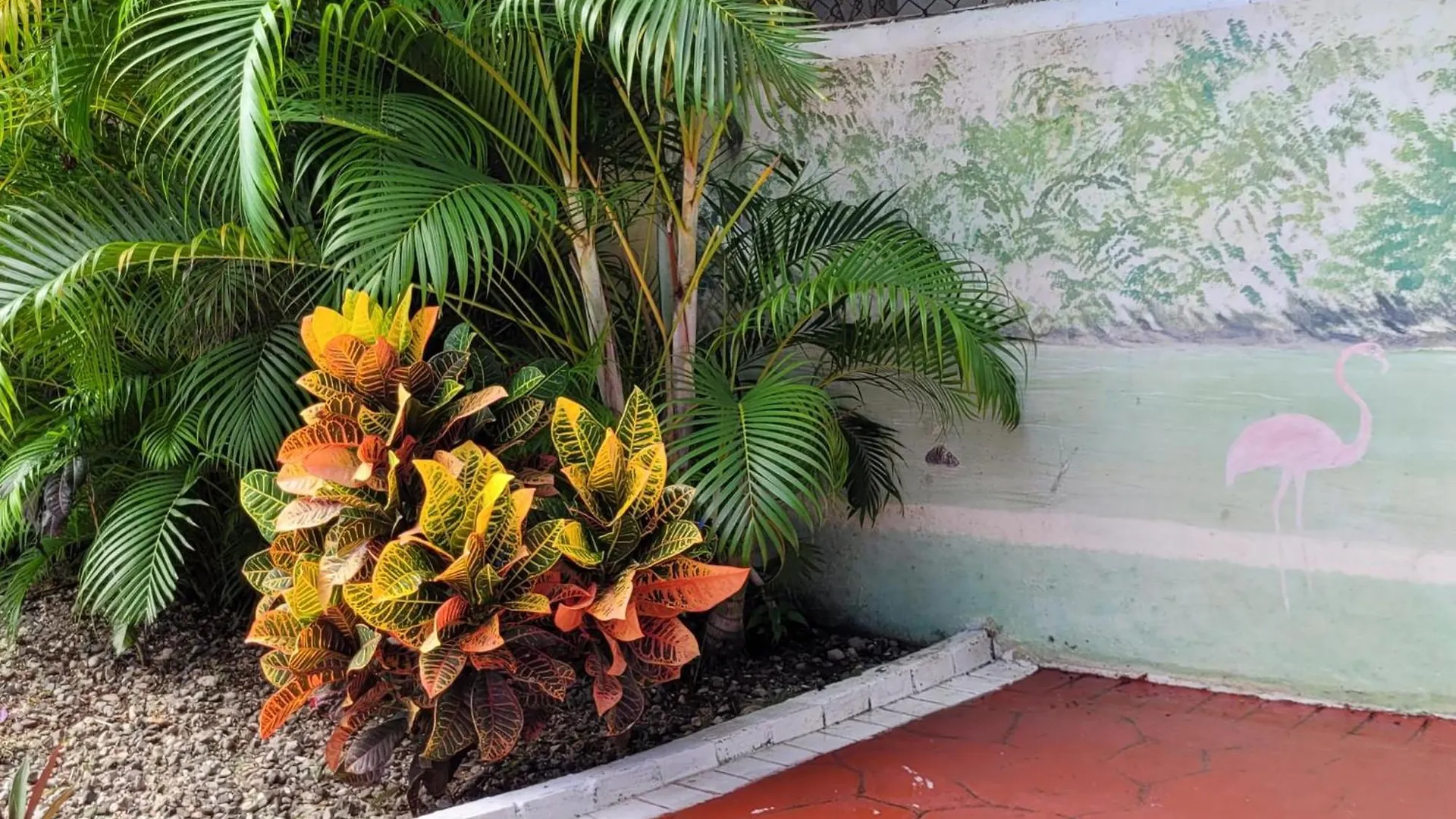 Calypso Beach Hotel Boca Chica